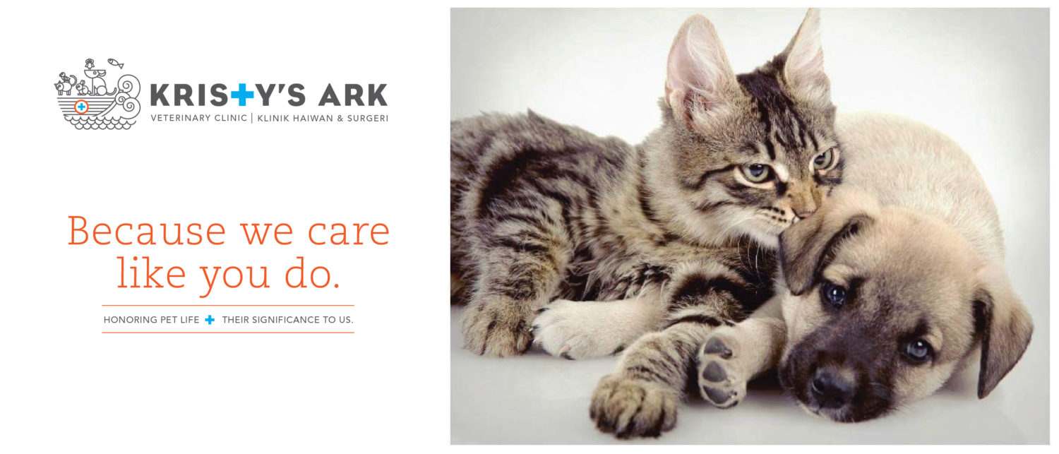 Kristy S Ark Veterinary Clinic Damansara Utama Petaling Jaya Selangor Animal Doctors Selangor