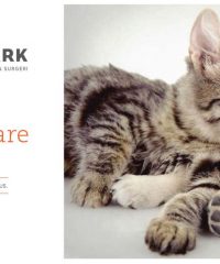 Kristy’s Ark Veterinary Clinic (Damansara Utama, Petaling Jaya, Selangor)