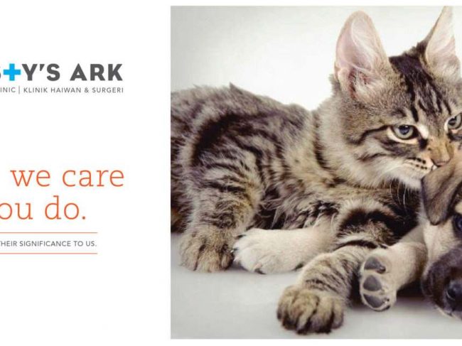 Kristy’s Ark Veterinary Clinic (Damansara Utama, Petaling Jaya, Selangor)