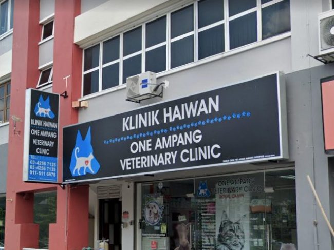 One Ampang Veterinary Clinic (Ampang, Selangor)